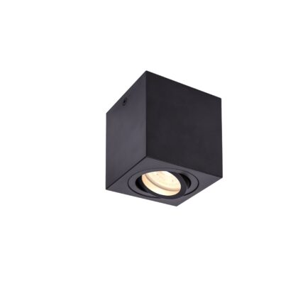 SLV Belgium Triledo CL indoor plafondopbouwlamp QPAR51 zwart max 10W 1002013
