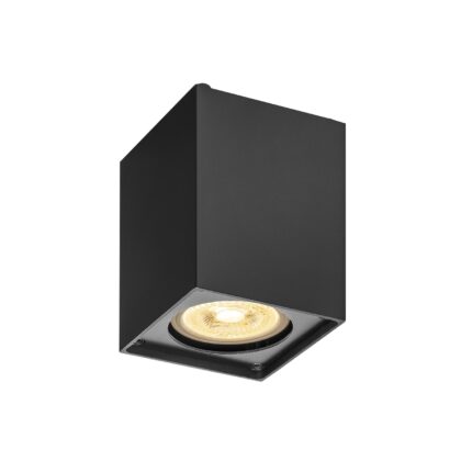 SLV Belgium Altra Dice CL indoor wand/plafond QPAR51 zwart 1002216