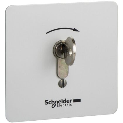 Schneider Automation inbraakveilige inbouw-drukknopkast - XAP-S - met slot XAPS14221N