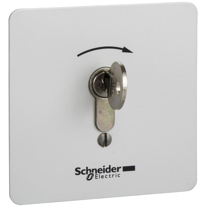 Schneider Automation inbraakveilige inbouw-drukknopkast - XAP-S - met slot XAPS14221N