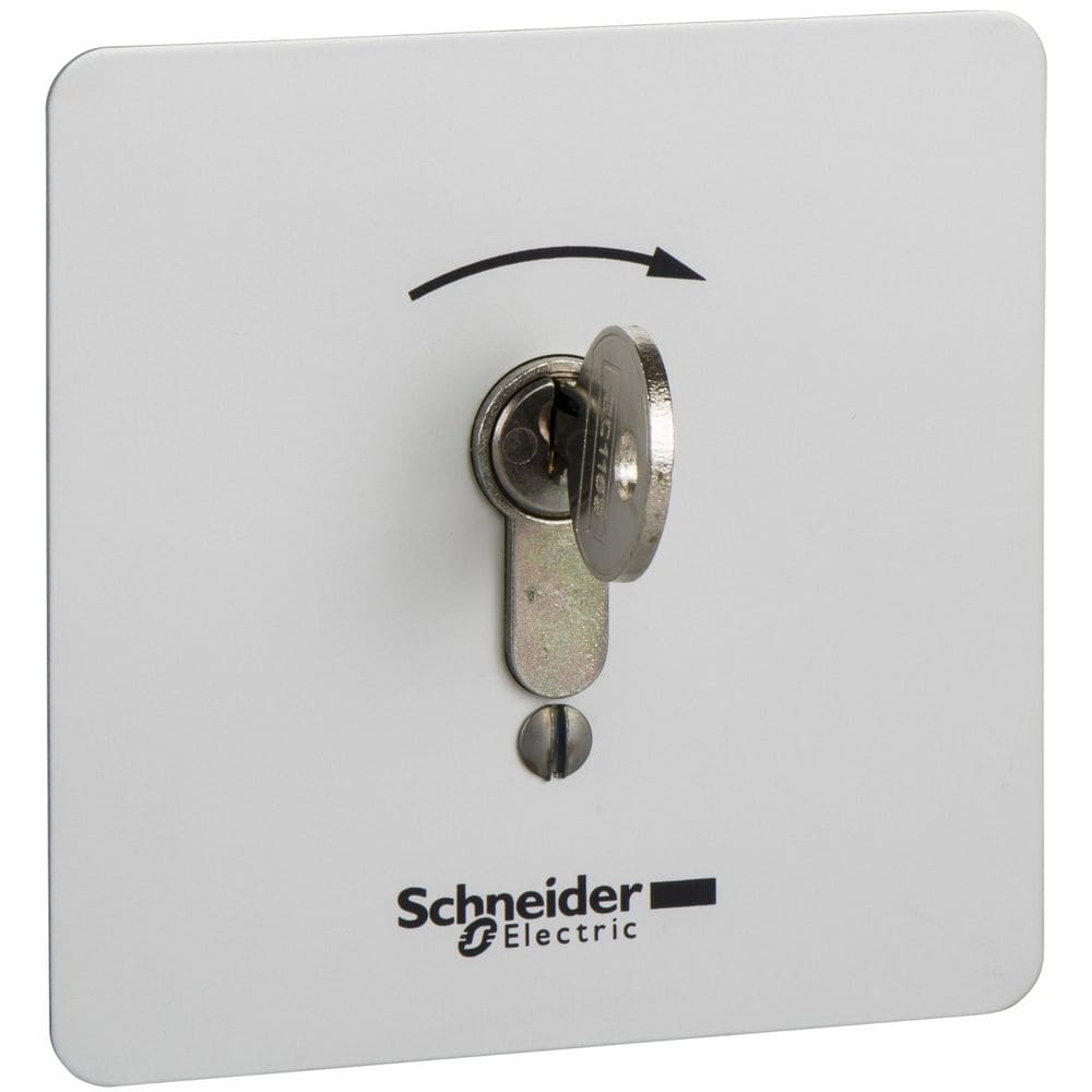Schneider Automation inbraakveilige inbouw-drukknopkast - XAP-S - met slot XAPS14221N