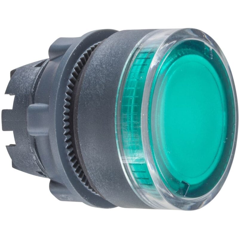 Schneider Automation kop voor verlichte drukknop - Ø22 - groen - zonder markering ZB5AW33