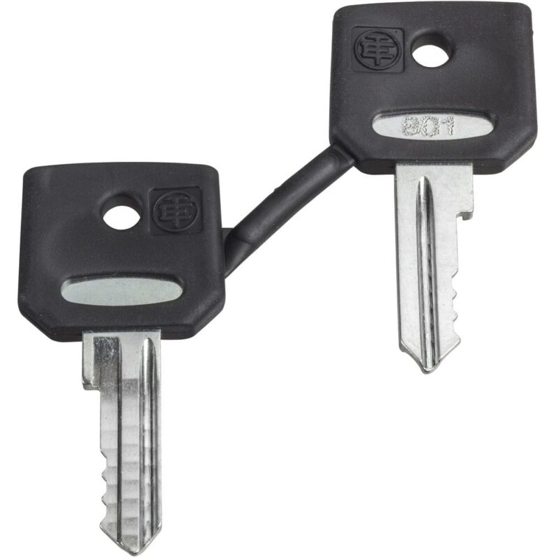 Schneider Automation sleutel - 421E - set van 2 ZBG421E
