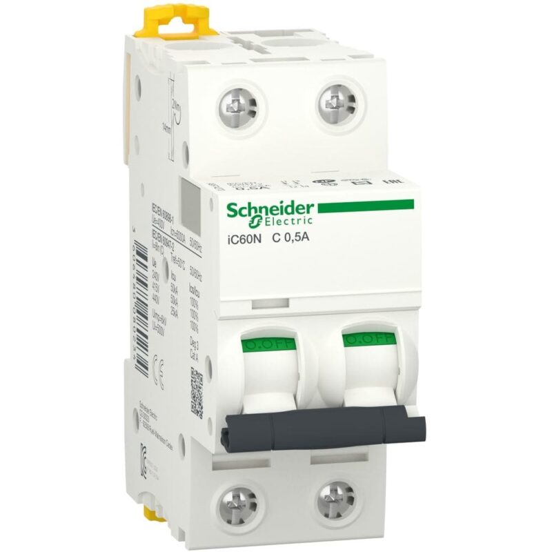 Schneider Distribution Automaat iC60N 2P 0