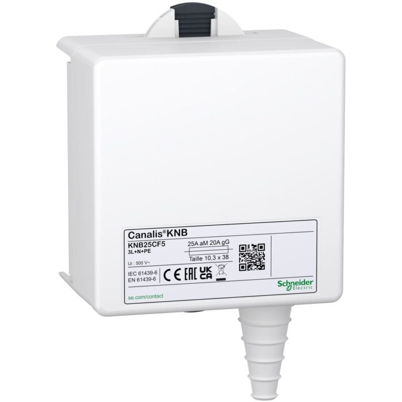 Schneider Distribution Aftakkast 4-polig 20A 3P+N voor cilindrische zekeringen NF 10 x 38 KNB25CF5