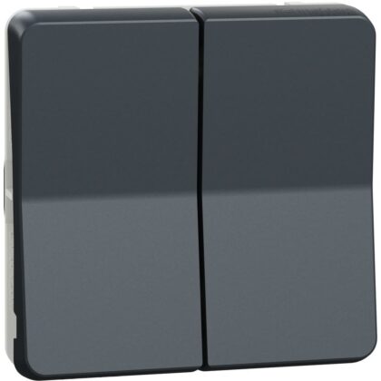 Schneider Residential Mureva Styl - Dubbele wisselschakelaar - inzetstuk IP55 - grijs MUR35019