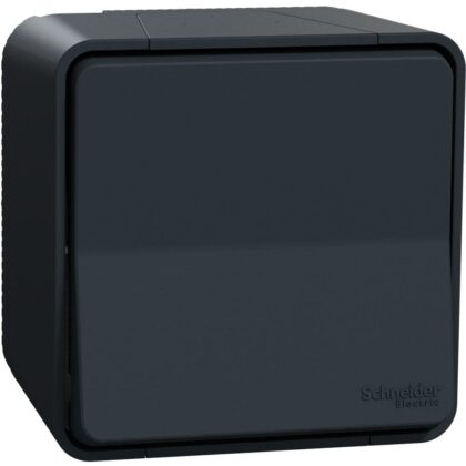 Schneider Residential Mureva Styl - Wisselschakelaar - opbouw IP55 - grijs MUR35021