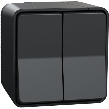 Schneider Residential Mureva Styl - Dubbele wisselschakelaar - opbouw IP55 - grijs MUR35022