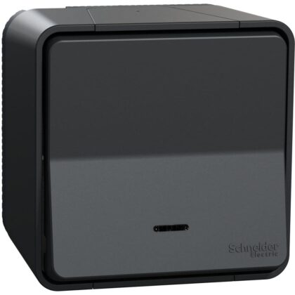 Schneider Residential Mureva Styl - Wisselschakelaar - opbouw - LED controlelamp IP55 - grijs MUR35024