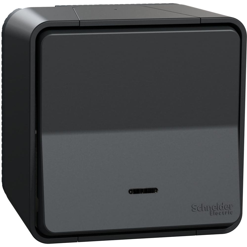 Schneider Residential Mureva Styl - Wisselschakelaar - opbouw - LED controlelamp IP55 - grijs MUR35024