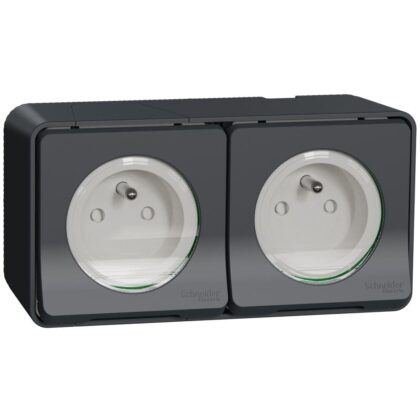 Schneider Residential Mureva Styl - Wandcontactdoos 2-voudig opbouw - klapdeksel - voorbedraad IP55 - MUR36028