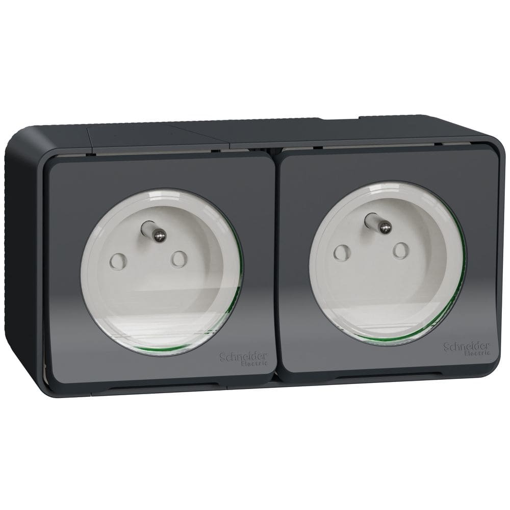 Schneider Residential Mureva Styl - Wandcontactdoos 2-voudig opbouw - klapdeksel - voorbedraad IP55 - MUR36028