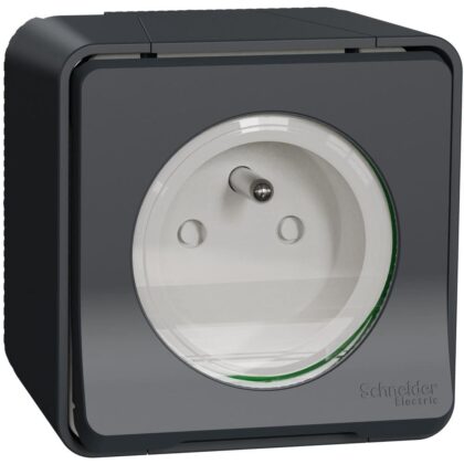 Schneider Residential Mureva Styl - Wandcontactdoos 1-voudig opbouw - klapdeksel - schroefconn. IP55 - MUR36030