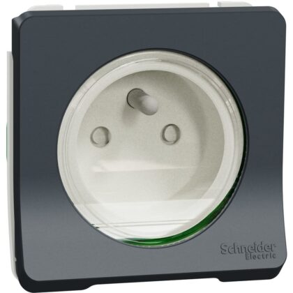 Schneider Residential Mureva Styl - Wandcontactdoos inzetstuk - klapdeksel IP55 - grijs MUR36133