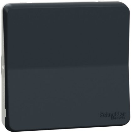Schneider Residential Mureva Styl - Wisselschakelaar - inzetstuk IP55 - grijs MUR37021