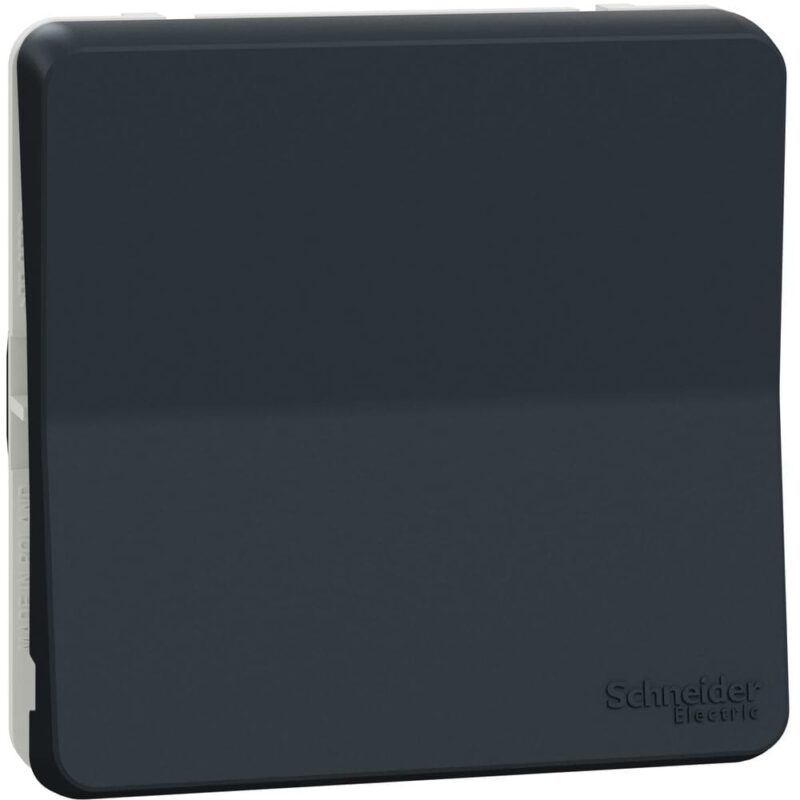 Schneider Residential Mureva Styl - Wisselschakelaar - inzetstuk IP55 - grijs MUR37021