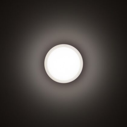 TECHNOLUX DROP 22 - plafond armatuur - E27 - 1x 60W - IP55 - D228x95mm - antraciet 004960