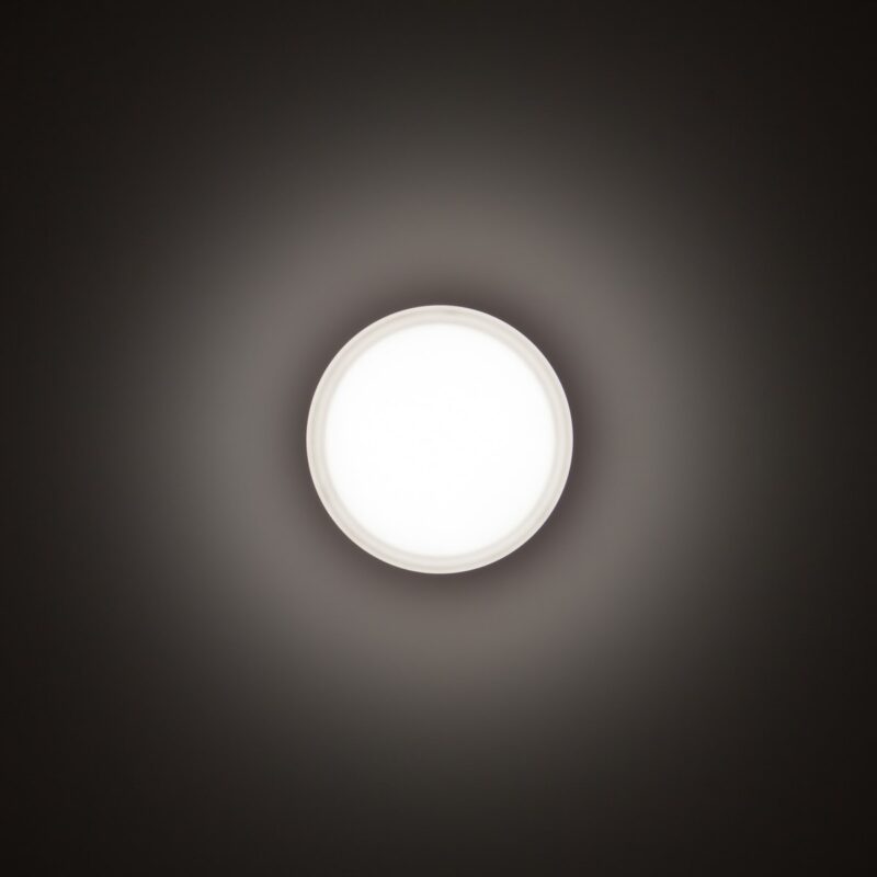 TECHNOLUX DROP 22 - plafond armatuur - E27 - 1x 60W - IP55 - D228x95mm - antraciet 004960