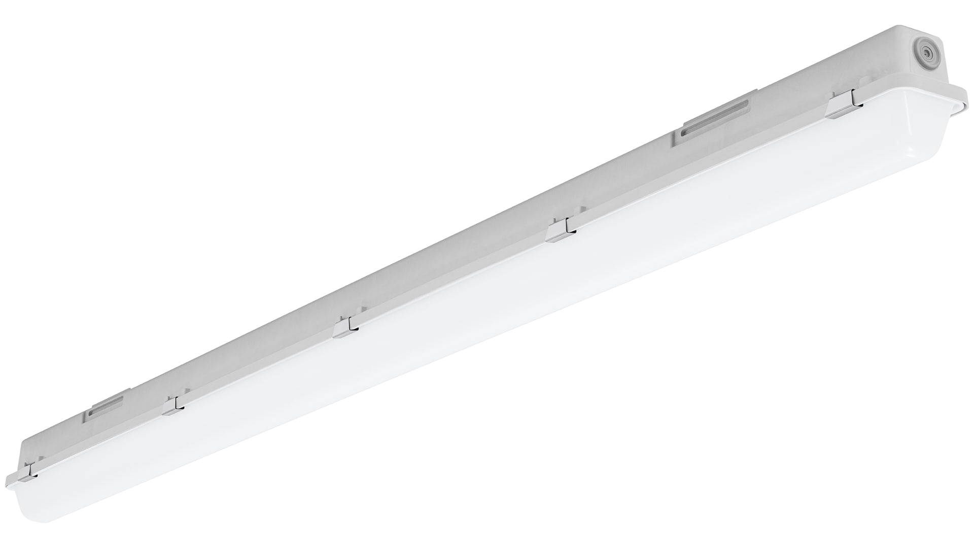 TECHNOLUX Waterdicht armatuur PAC-DLED EL 1500 DALI DV 63241575