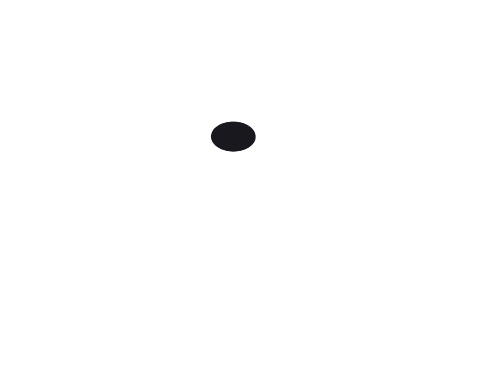 TRIZO 21 Covers C6 BLACK (2x) / ?: 60 / False ceiling / only for Austere-Suspension RF 22CO 2200
