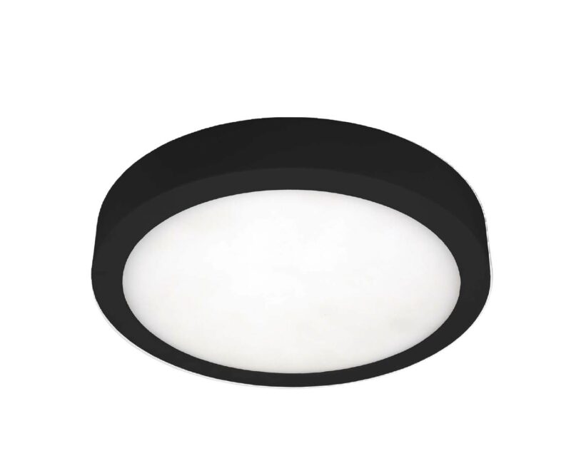 UNI-BRIGHT MOON 300mm dia. - zwart opbouw IP54 - 3CCT 2350lm 24W MN30024WBCCT
