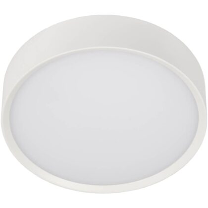 UNI-BRIGHT MOON PREMIUM 250mm dia. - wit opbouw IP65 - 3000K 1000lm 12w MNP25012W