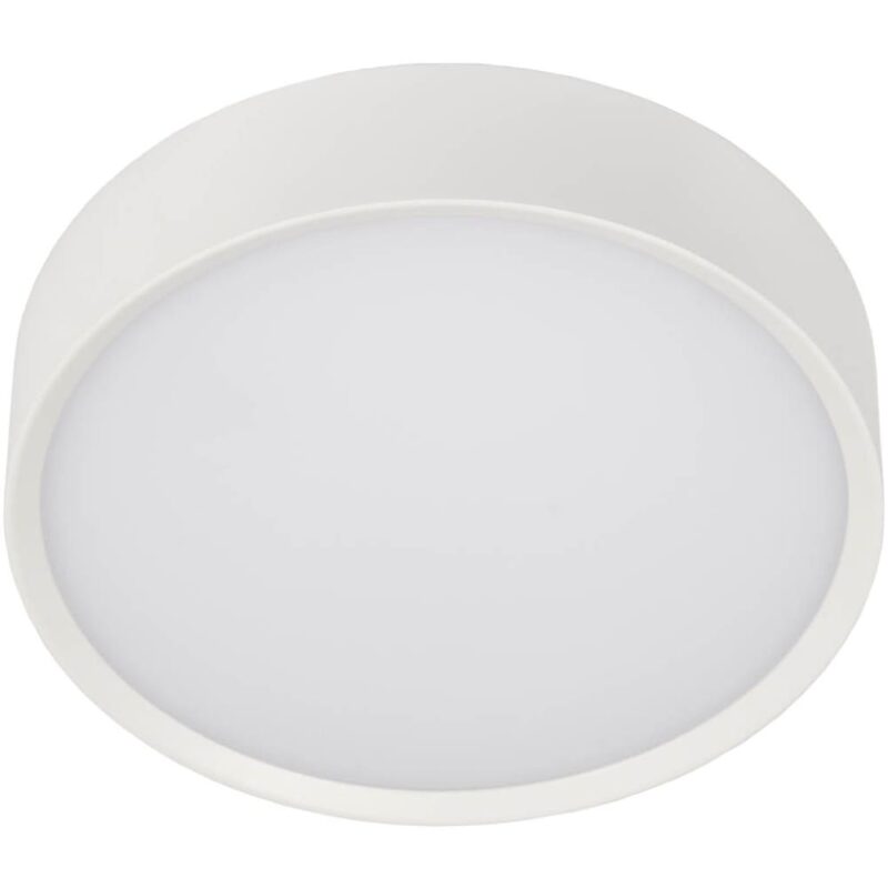 UNI-BRIGHT MOON PREMIUM 250mm dia. - wit opbouw IP65 - 3000K 1000lm 12w MNP25012W