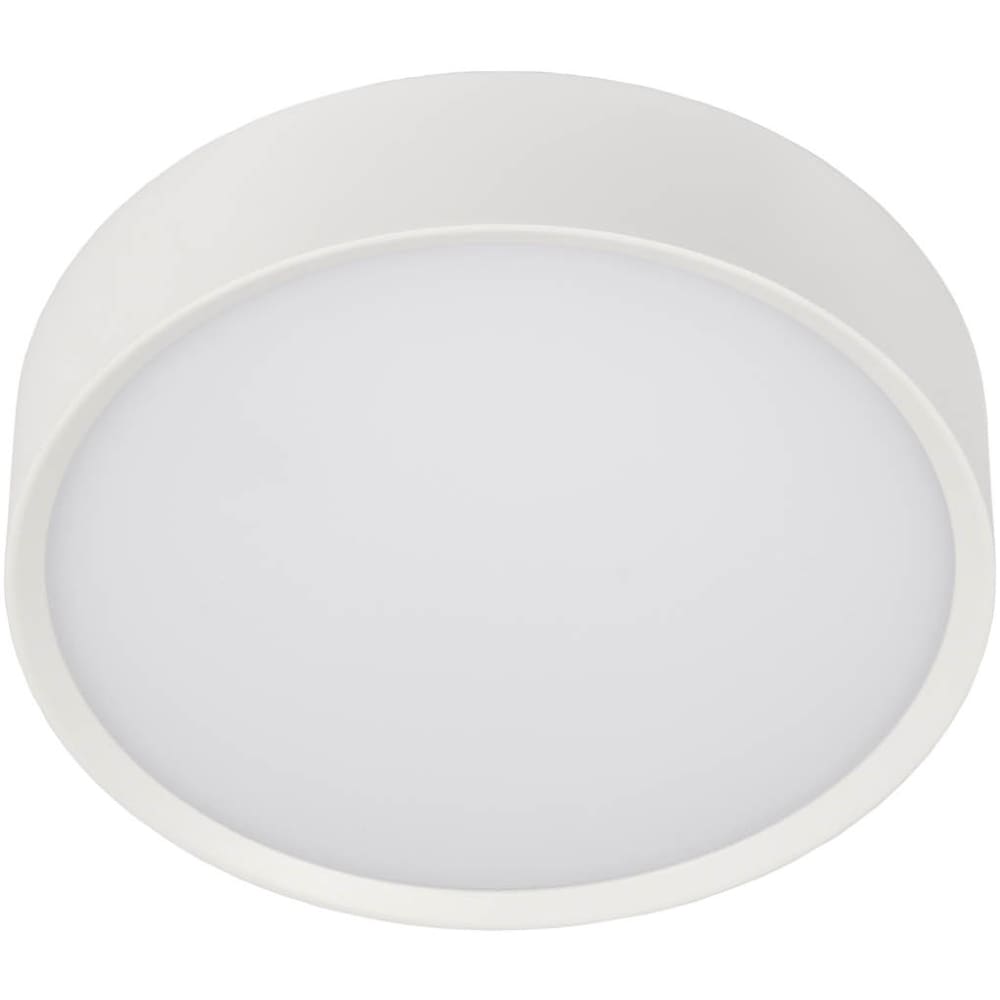 UNI-BRIGHT MOON PREMIUM 250mm dia. - wit opbouw IP65 - 3000K 1000lm 12w MNP25012W