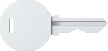 Vynckier (ABB) Sleutel PolySafe voor cilinderslot toegangscontrole kasten 4TBP832022C0100
