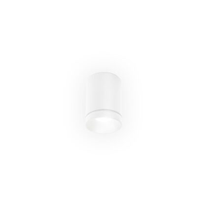 WEVER & DUCRE TAIO IP65 CEILING SURF 1.0 LED 3000K W 11W 220-240VAC DIM CRI90 180884W5