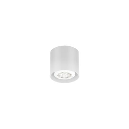 WEVER & DUCRE RAY MINI CEILING SURFACE 1.0 PAR16 MAX.12W WHITE 258220W0