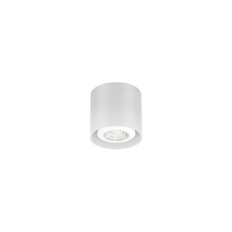 WEVER & DUCRE RAY MINI CEILING SURFACE 1.0 PAR16 MAX.12W WHITE 258220W0