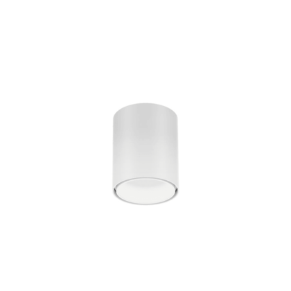 WEVER & DUCRE RAY MINI CEILING SURF 1.0 LED 3000K W-W 258254WW5