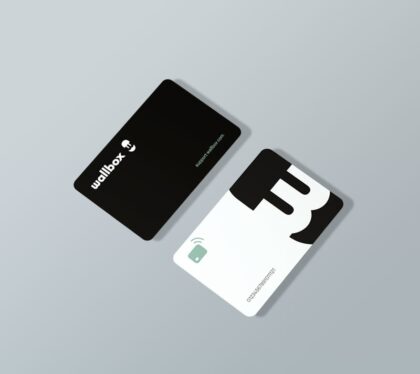 Wallbox RFID (Pack 10 unit) 000000663