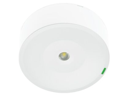ZEMPER SPAZIO ON A DALI2 250lm P/NP 1h IP42/IK04 WIT 230V 50Hz LSM3250LAP