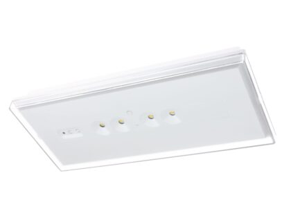 ZEMPER XENA FLAT STANDAARD 150lm NP 1h IP44/IK07 WIT 230V 50Hz LXF9150CT