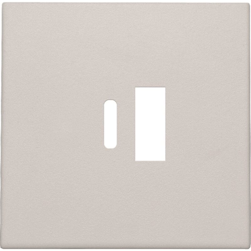 NIKO Centraalplaat dubbele smart usb-a en usb-c-lader