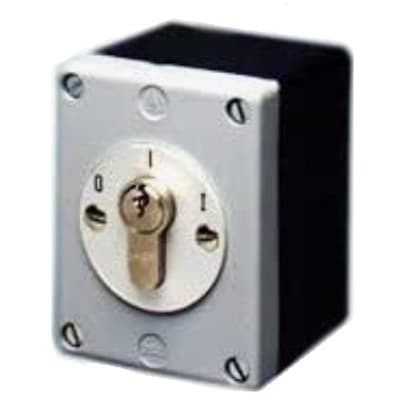 FAAC FAAC KEY 3 Beveiligd sleutelcontact houdcontact opbouw (IP54) incl 3 sleutels 12203201007