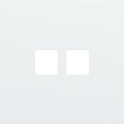 NIKO 1v afdekplaat voor 2 rj45 conn