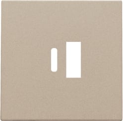 NIKO Centraalplaat dubbele smart usb-a en usb-c-lader