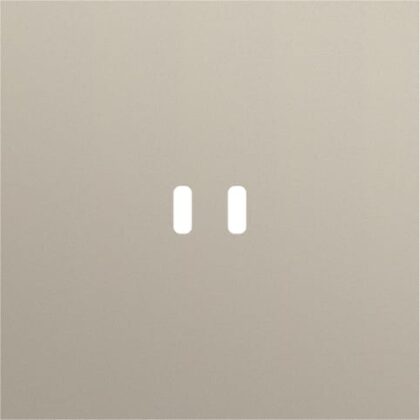 NIKO 1v afdekplaat voor dubbele usb-c