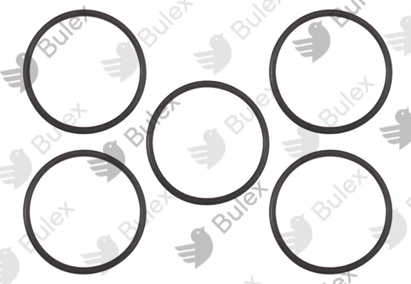Bulex BULEX 0020048259 O-RING POMP SANITAIR Bulex 20048259