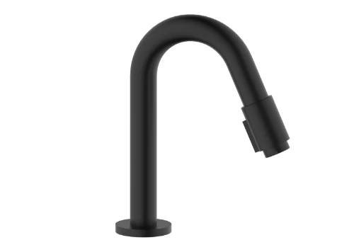 Vivo koudwaterkraan - uitloop 190 mm - zwart mat PVD 2058556