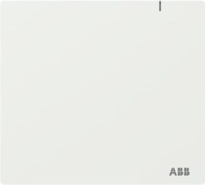 ABB System Access Point 3.0 2CKA006200A0871