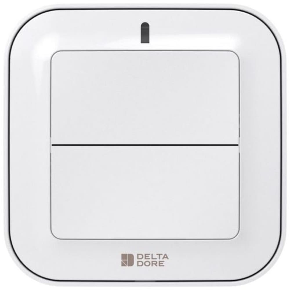 DELTA DORE Tyxia 2310 | Draadloze zenderschakelaar voor verlichting of automatisering 6351380