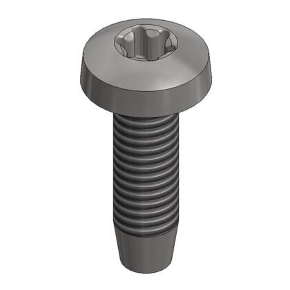 Van der Valk RVS zelftapbout M6x20mm - T30 773320