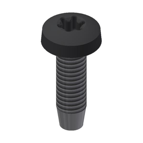 Van der Valk Rvs Zelftapbout M6x20mm T30 zwart 773320ZW