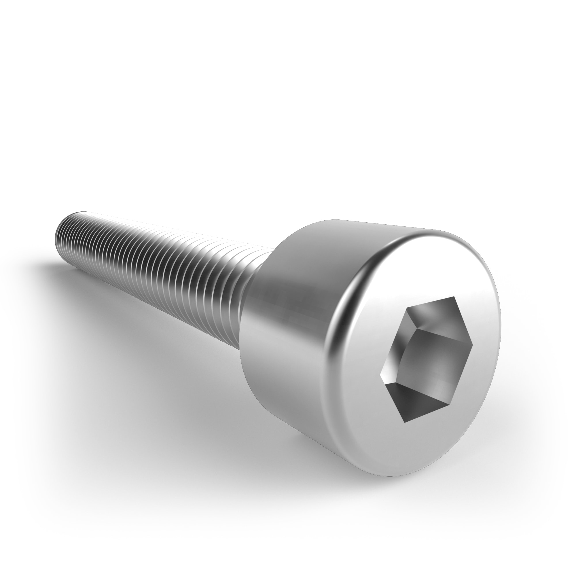 Schletter Schroef SH ISO4762 M8X55 A2-70 DL 943000-024