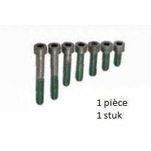 Schletter Schroef M8x55 zeskant DIN912 GMB 943308-055