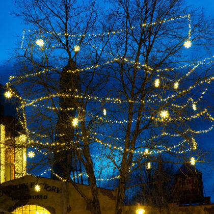 KERSTVERLICHTING Verlichte sneeuwvlok  Snowshill  - warmwitte LED - 40 x 40 cm - 230 V XMA867